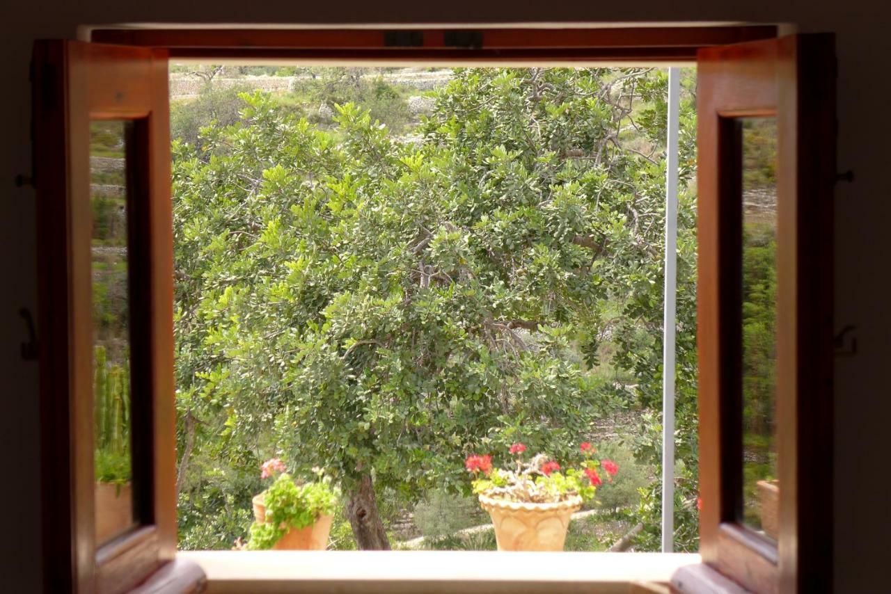 La Suma Sumalia Bed & Breakfast Noto Exterior photo